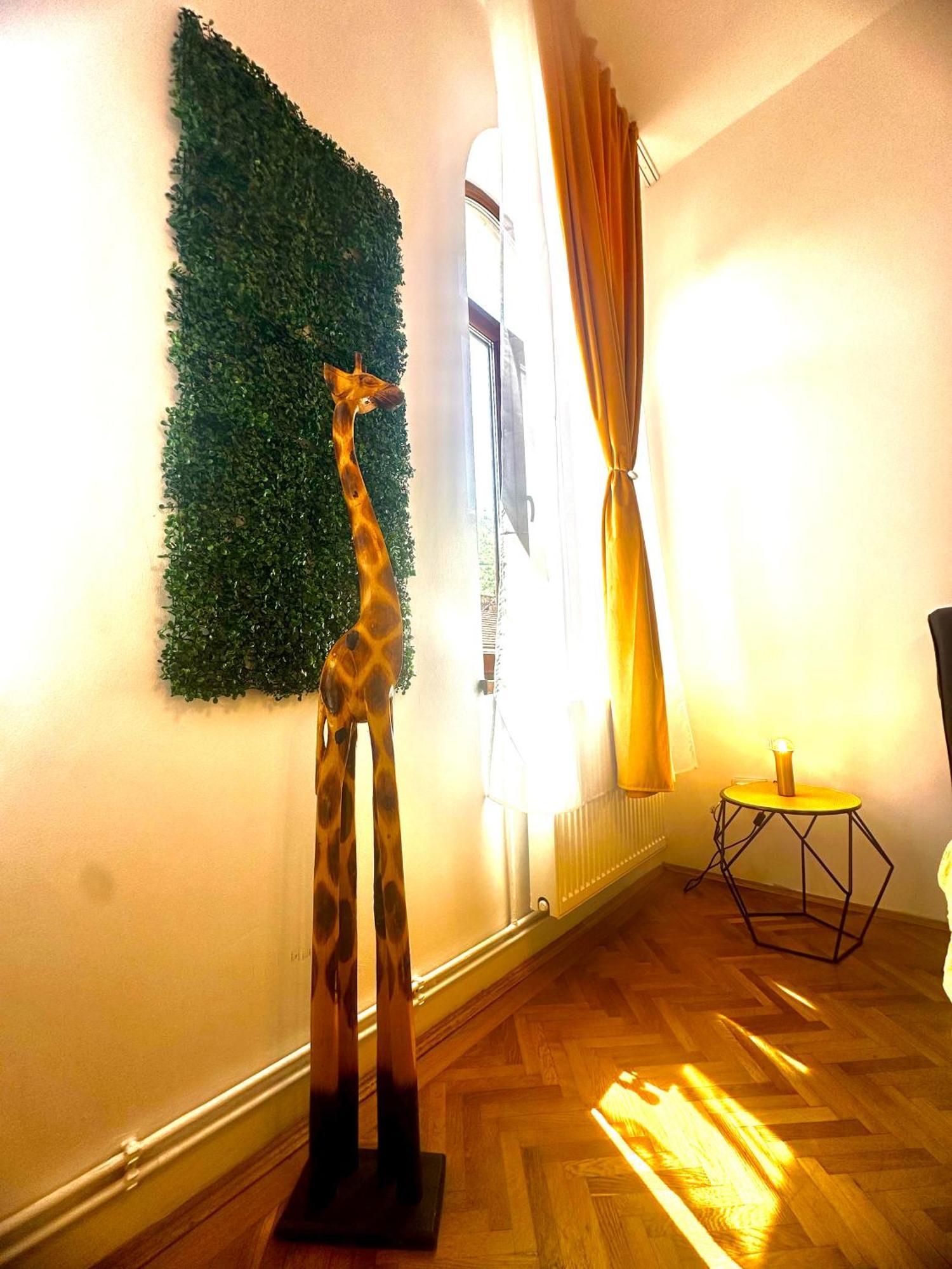 Stay Inn Central Brasov Exterior photo
